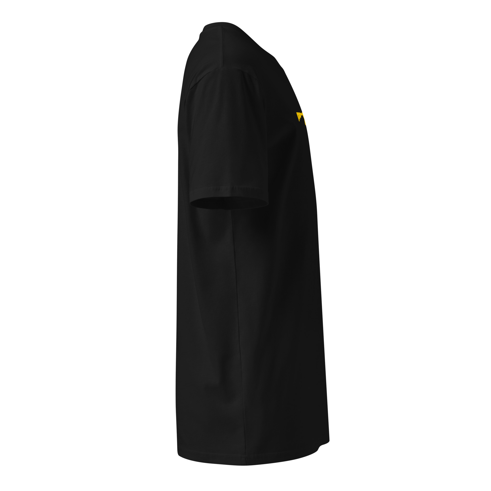 Standard Rifle T - Image 4